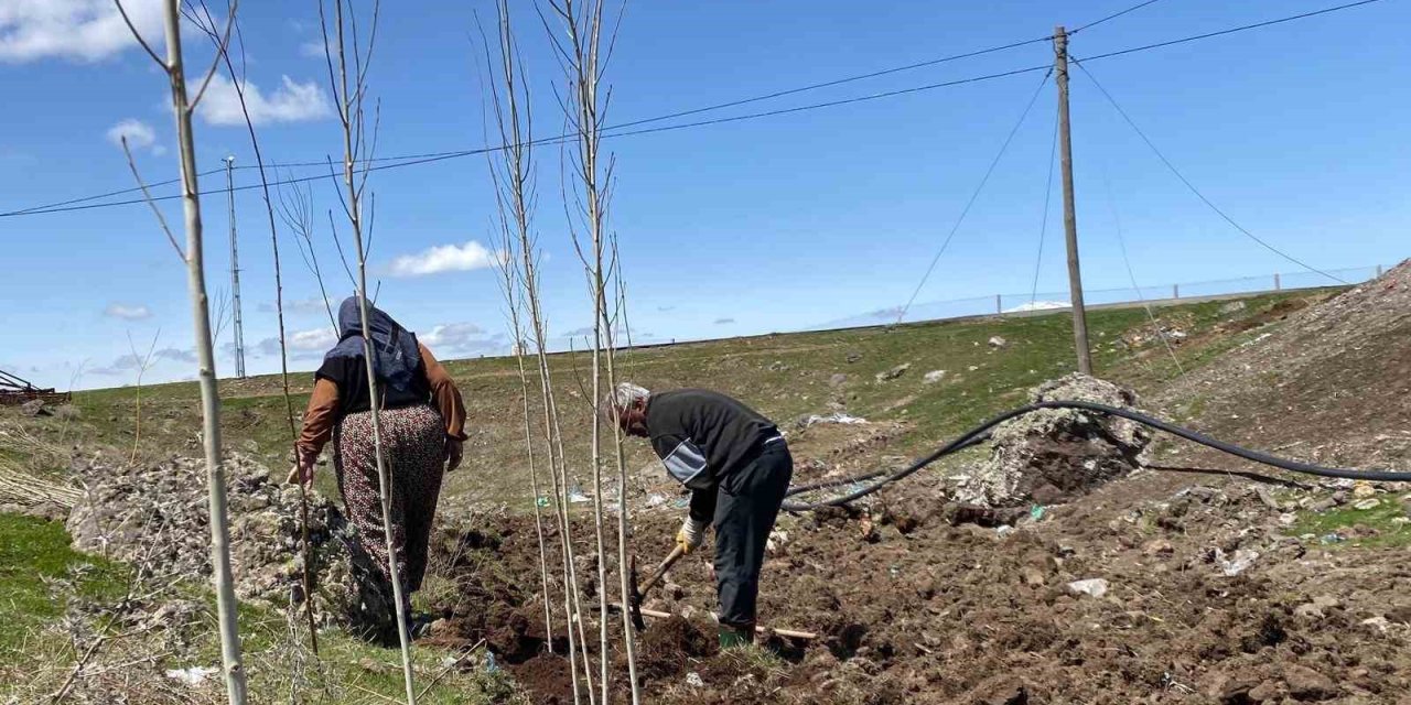Ağrı’da vatandaşlar imece usulü fidan dikerek geleceğe nefes oluyor