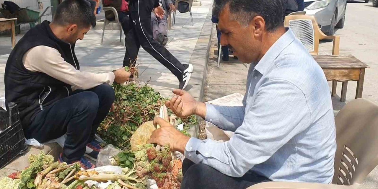 Elazığ’da bahar otları tezgahlarda yerini aldı