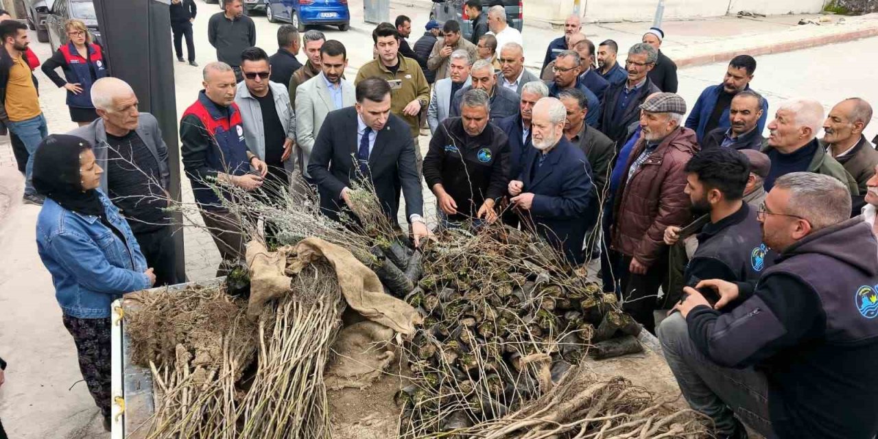 Çemişgezek’te vatandaşlara ücretsiz fidan dağıtıldı