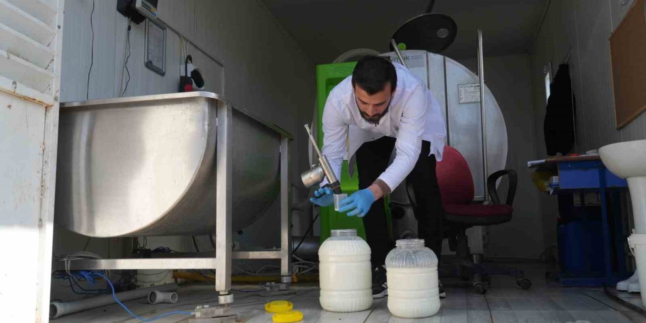 Muş’ta çiğ süt soğuk zincir projesi hayata geçti