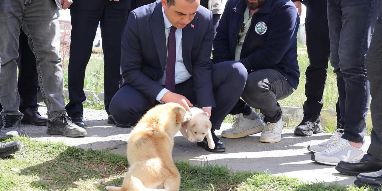 Vali Taşolar, Iğdır Geçici Hayvan Bakımevi’ni ziyaret etti