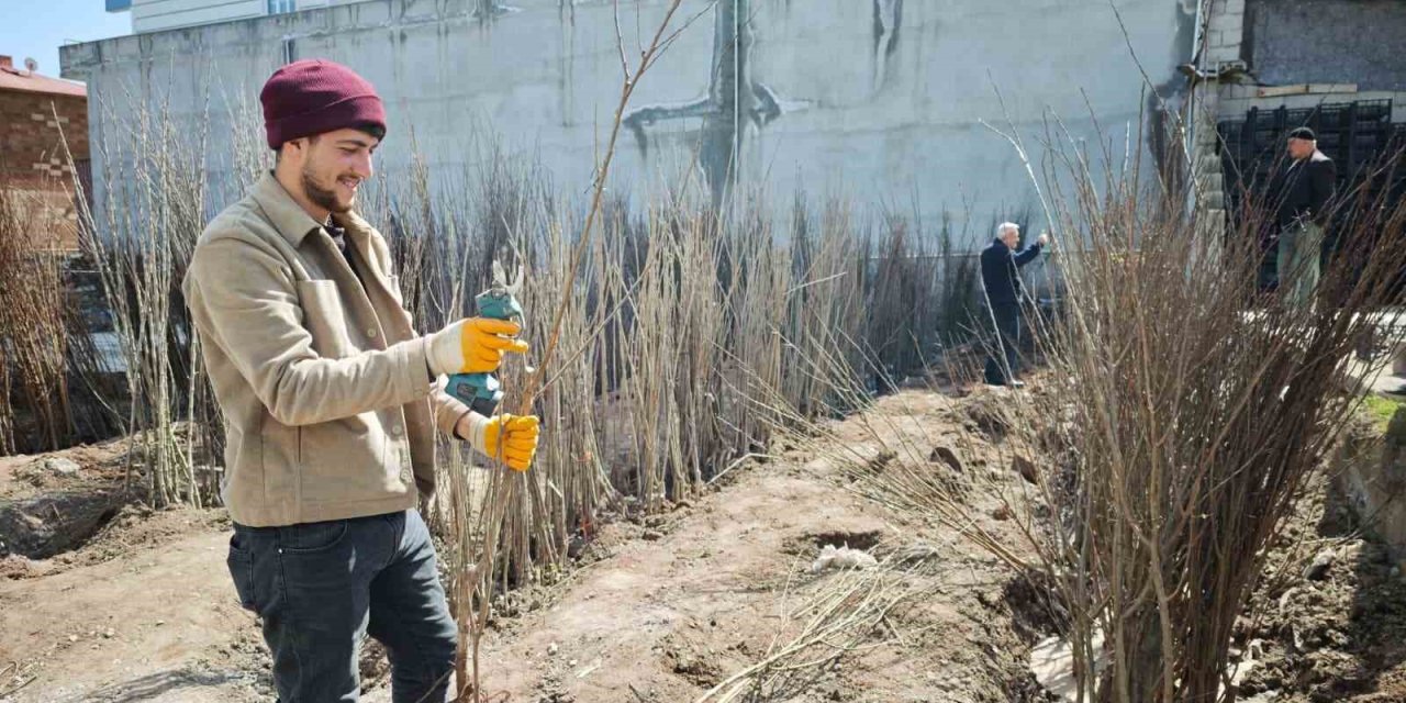 Ahlat’ta meyve fidanlarına ilgi