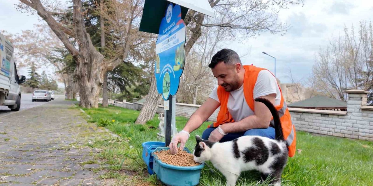 Elazığ’da sokak hayvanlarına mama desteği sürüyor