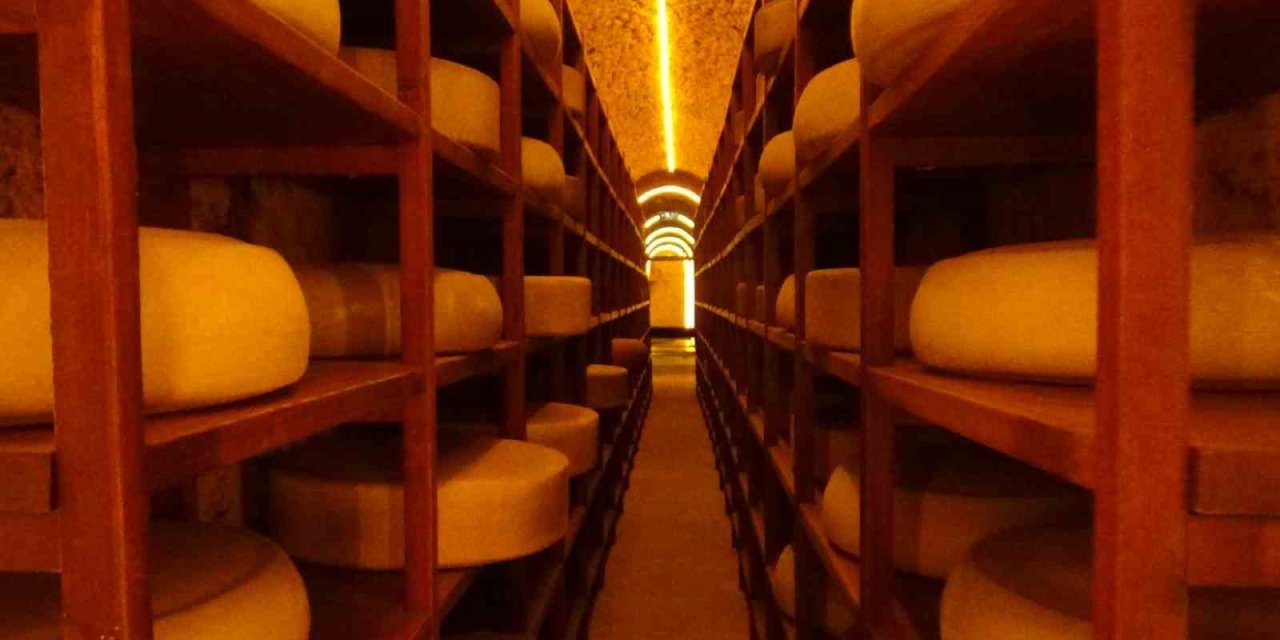 Kars Peynir Müzesi turistlerin gözdesi oldu