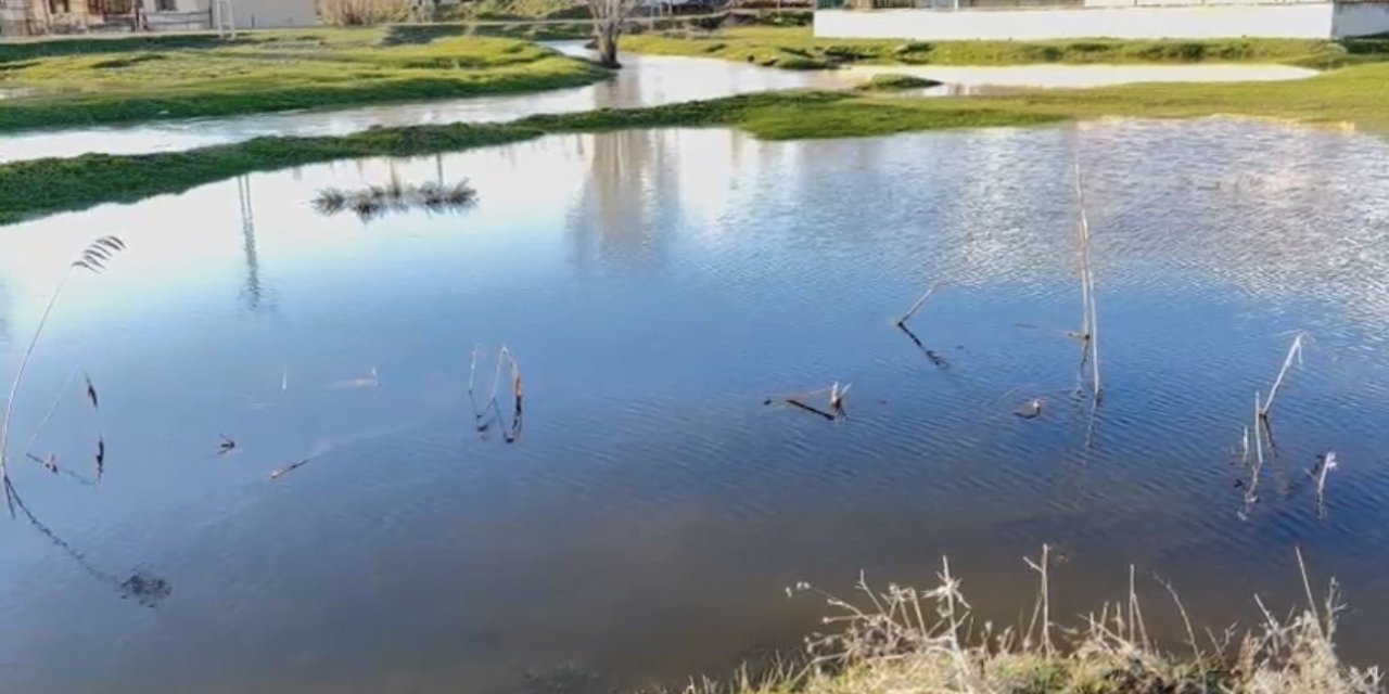 Ağrı’da sağanak nedeniyle dereler taştı