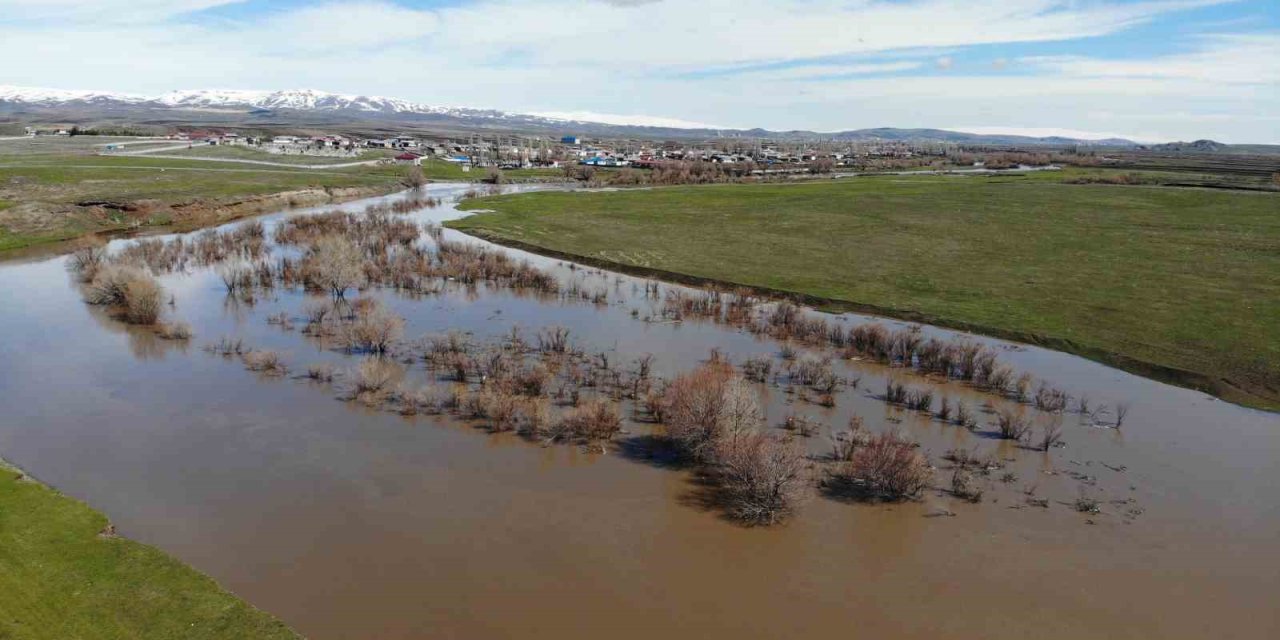 Kars Çayı taştı: Ağaçlar sular altında kaldı