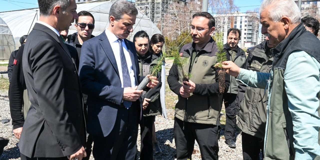 22 yılda 109 milyon 508 bin adet fidan toprakla buluştu