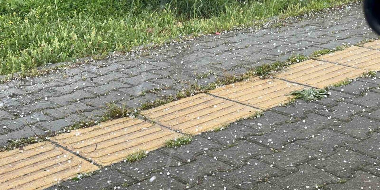 Tunceli’de gök gürültülü sağanak ve dolu yağışı etkili oldu