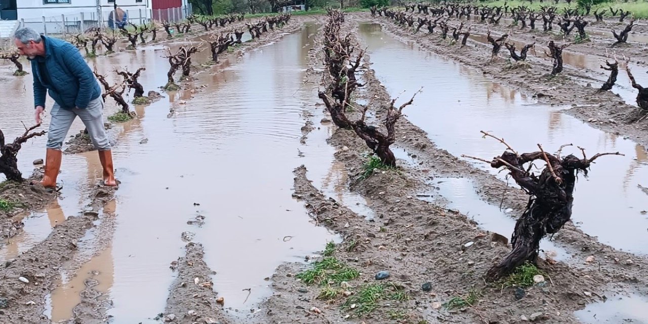Elazığ’da dolu yağışı sonrası hasar tespit çalışması
