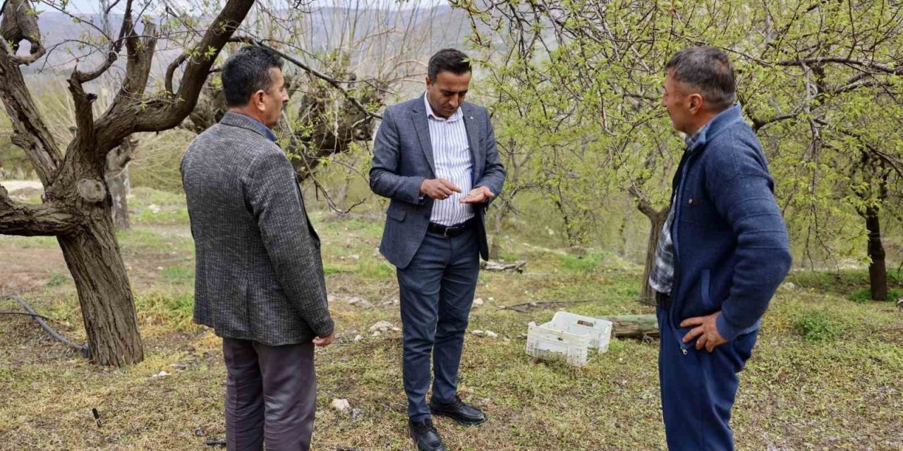 Akçadağ Belediye Başkanı Ulutaş, doludan etkilenen üreticileri ziyaret etti