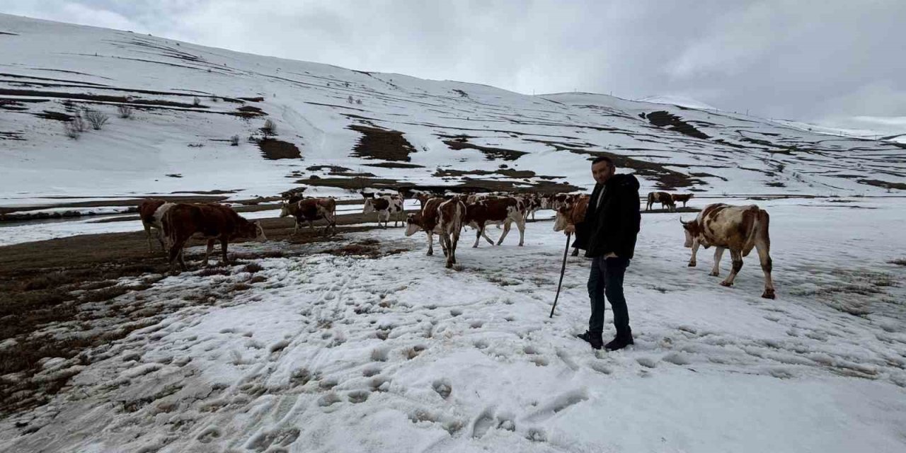 Ardahan’da kış mevsiminin uzaması hayvancılığı vurdu