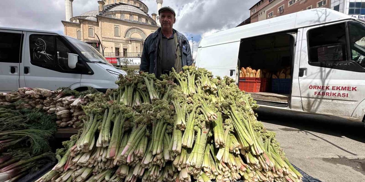 Yüksekova’da ‘yayla muzu’ mesaisi başladı
