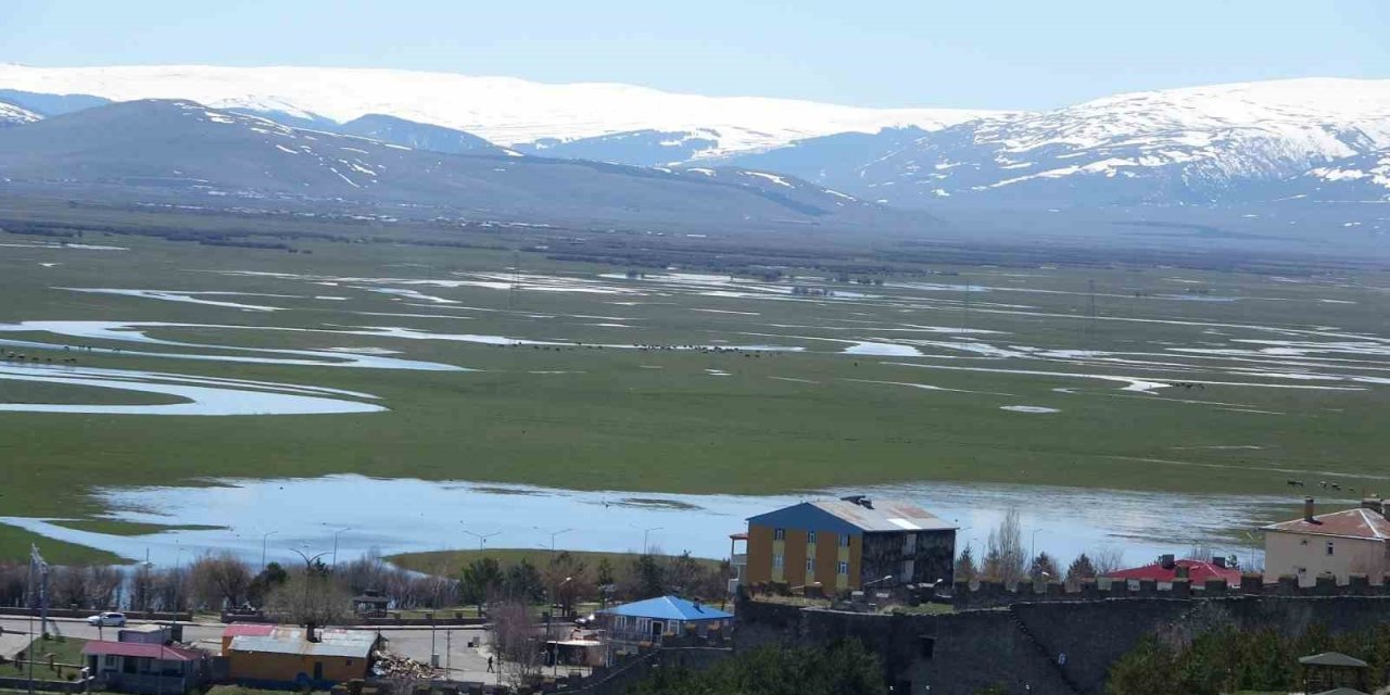 Ardahan’da Kura Nehri’nin debisi yükseldi