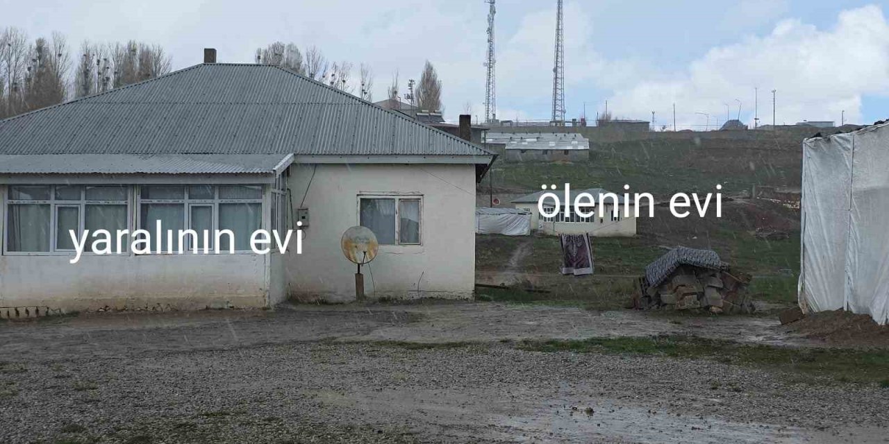 Köpek dehşetinin görüntüleri ortaya çıktı