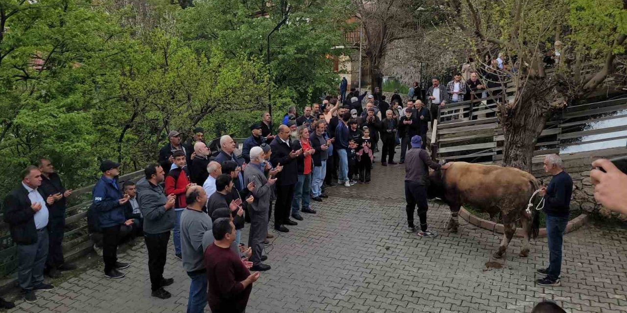 Geçmişten günümüze: Kemaliye’de şükür kurbanı