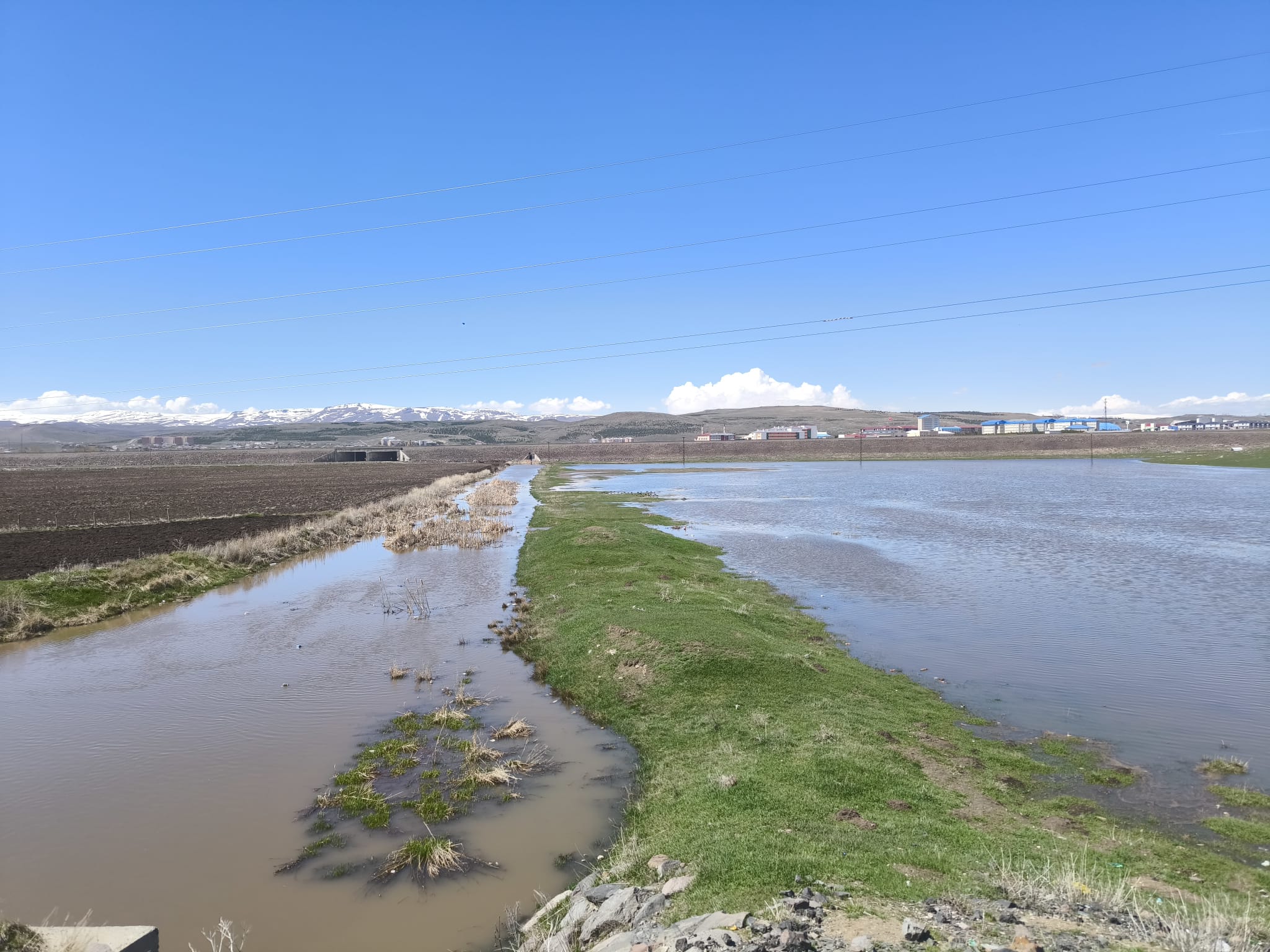 Kars Çayı yükseldi, tarım arazileri sular altında kaldı