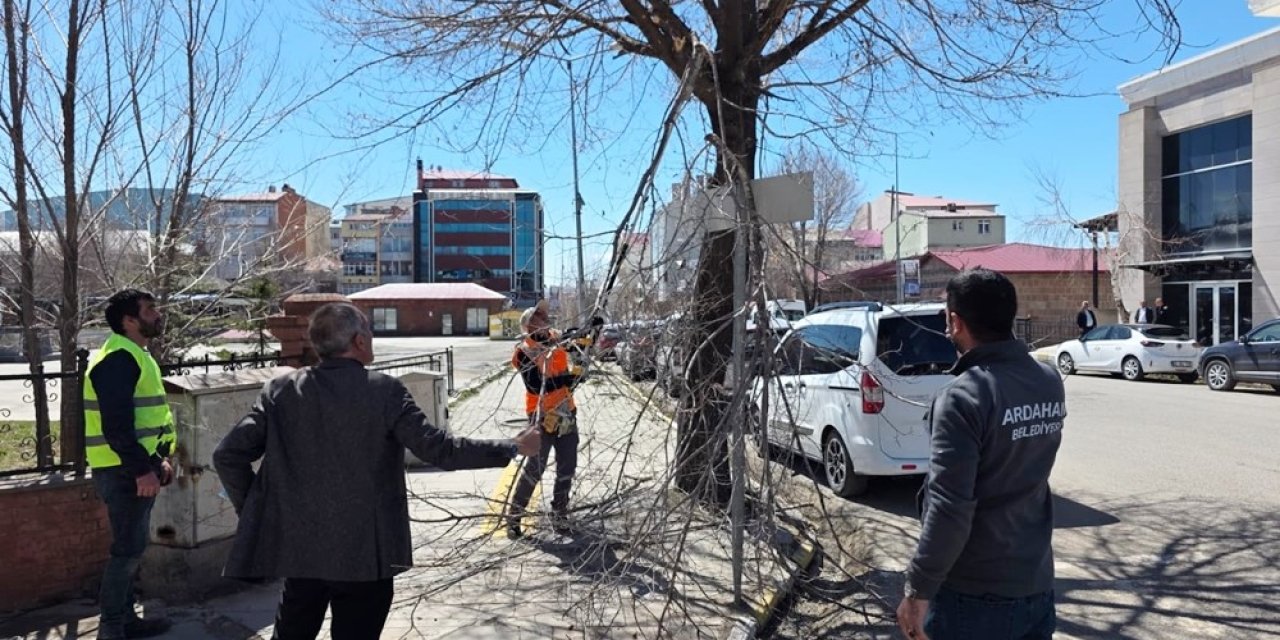 Belediye ekiplerinden ağaç budama çalışması