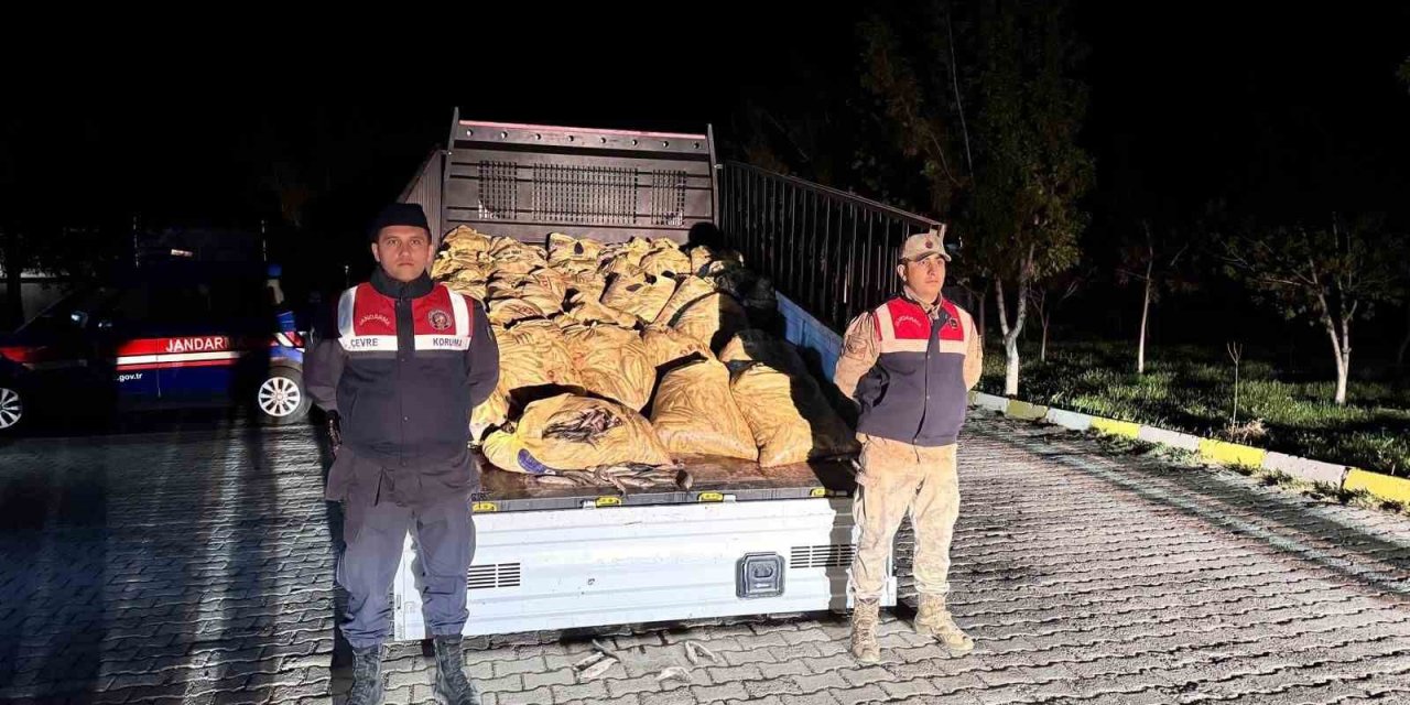 Van’da kaçak avlanan 800 kilo balık ele geçirildi