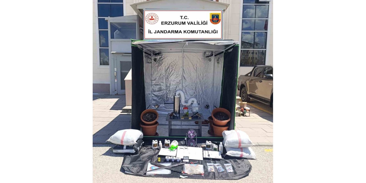 Jandarmadan narko operasyon