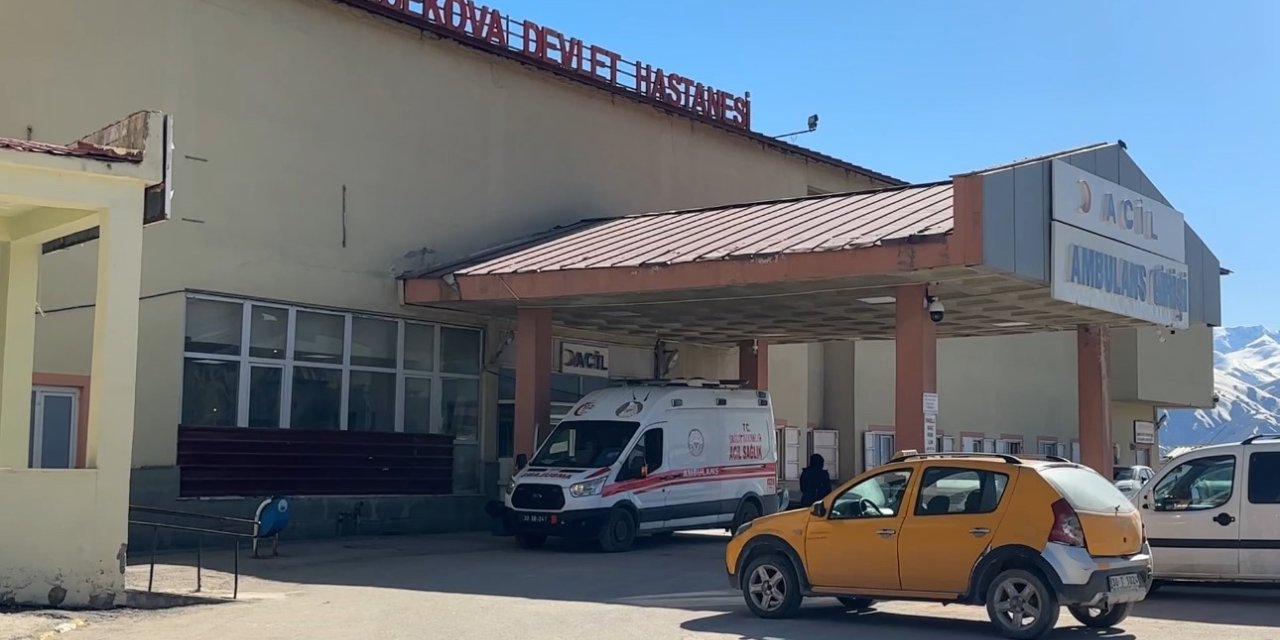 Yüksekova’da patlama: 1 çoban yaralı, 3 koyun telef oldu