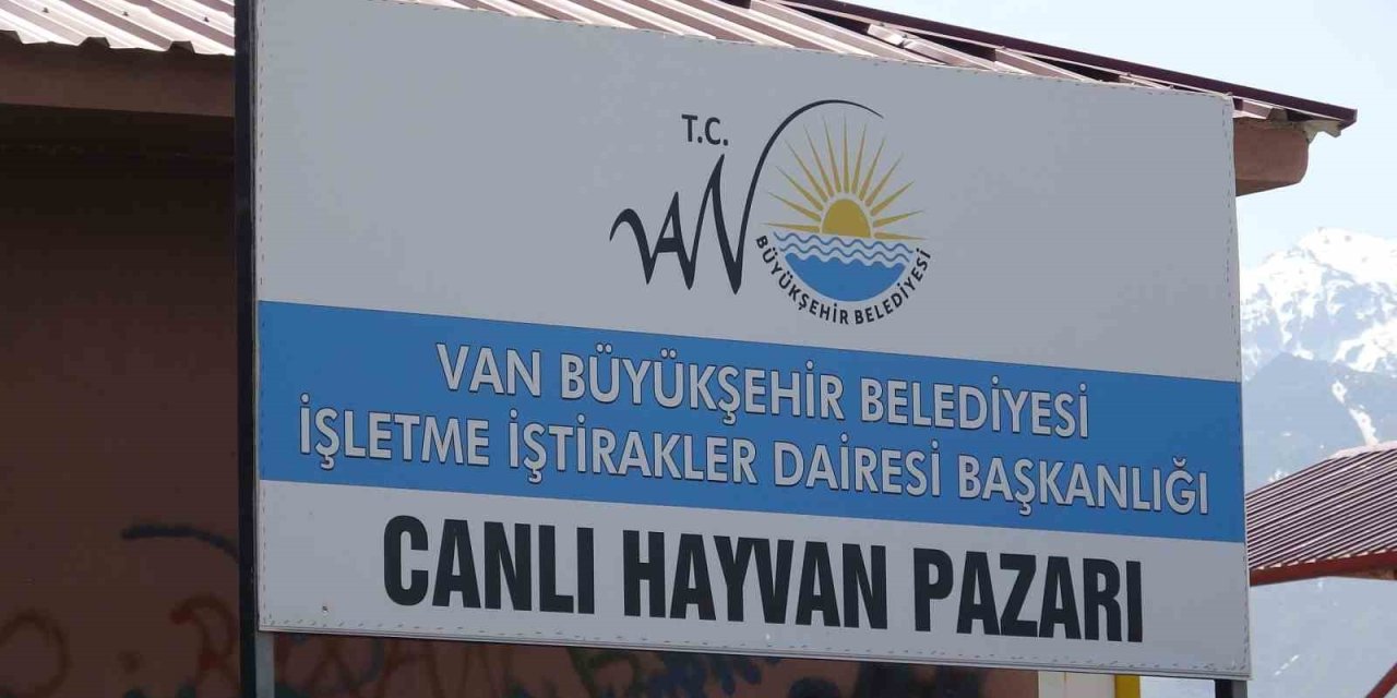 Van’da hayvan pazarında silahlı kavga: 1 ölü, 13 yaralı