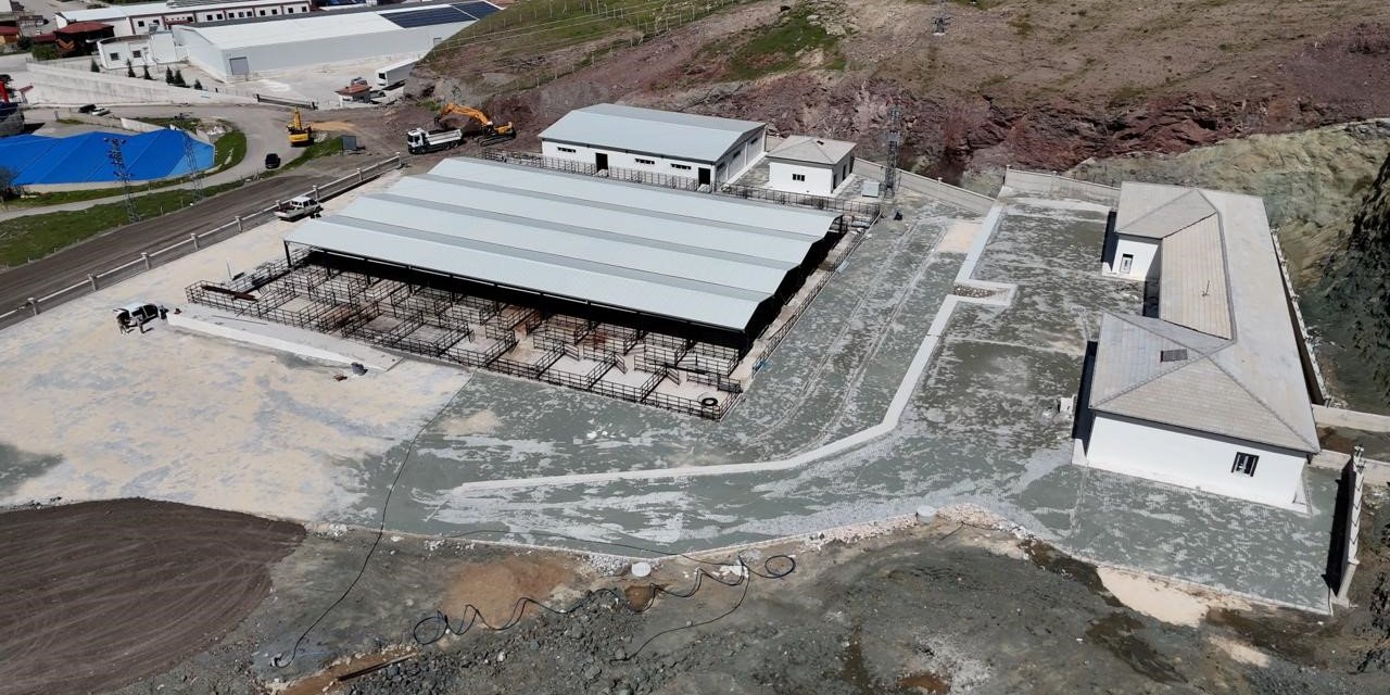 Elazığ’da kurban satış ve kesim alanlarında çalışmalar başladı