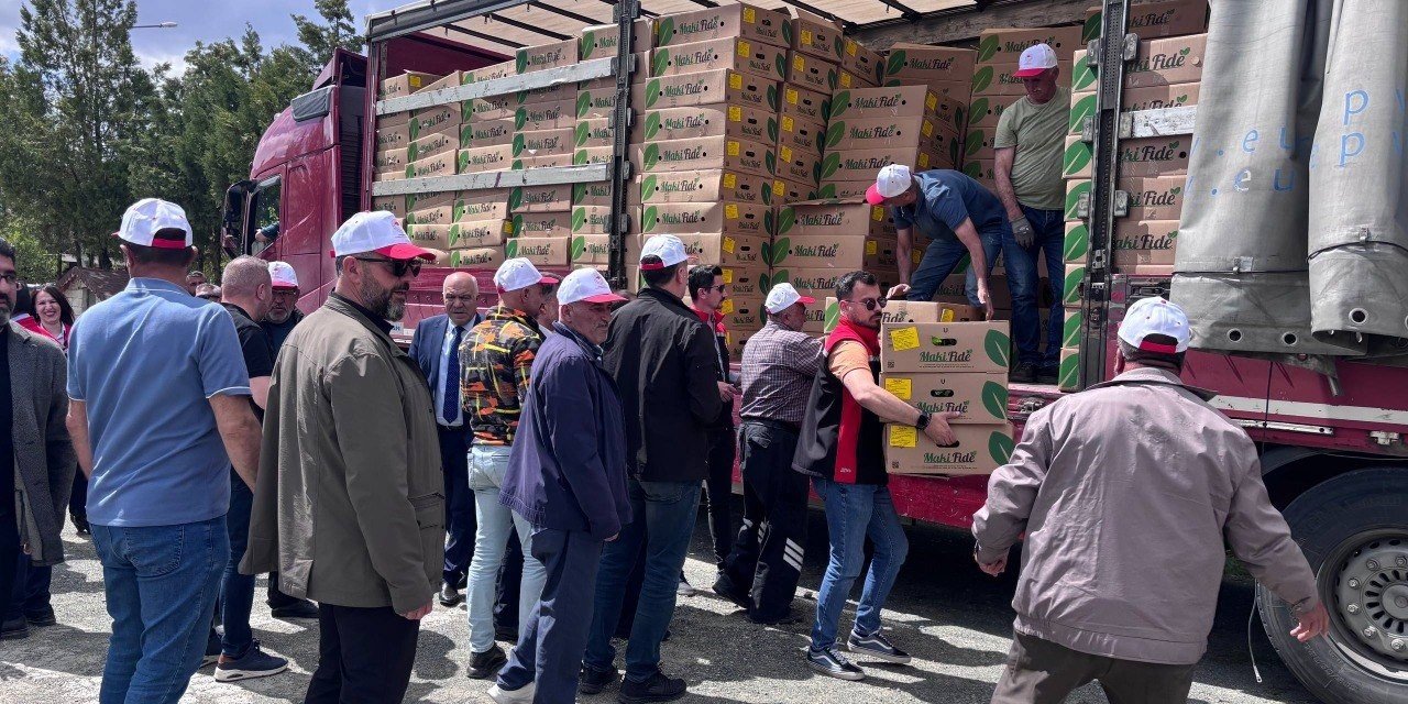 Erzincan’da 220 üreticiye 779 bin 520 sebze fidesi dağıtıldı