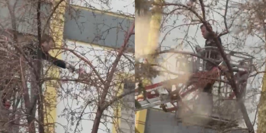 Kars’ta ağaçta mahsur kalan güvercini itfaiye ekipleri kurtardı
