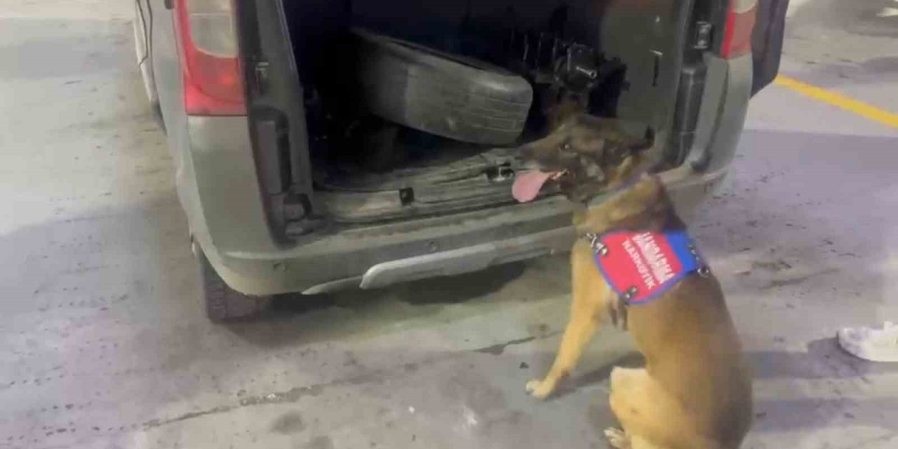 Bagaj ve kaputa gizlenen uyuşturucuyu narkotik köpeği ‘Ayar’ buldu