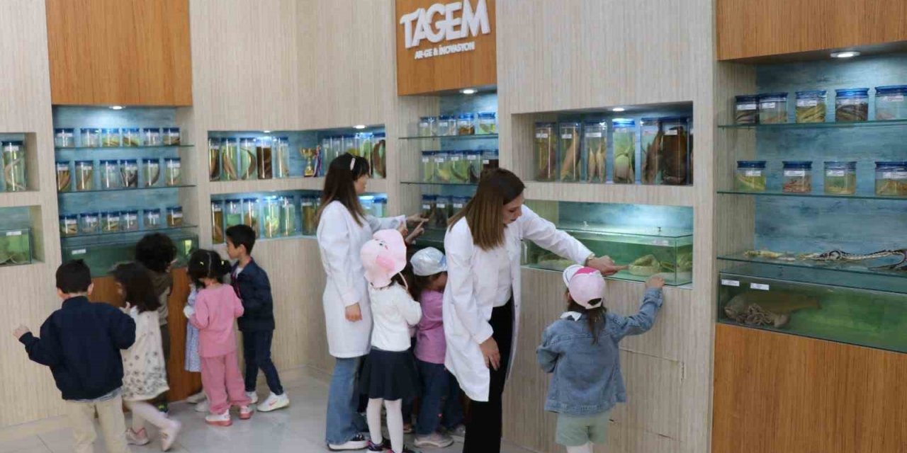 Elazığ’da minik öğrenciler Balık Müzesi’ni gezdi