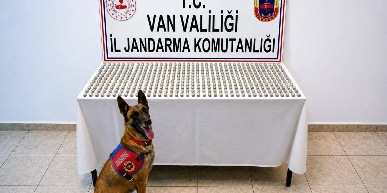 Van’da 8 İranlı’nın midesinde 3 kilo esrar ele geçirildi