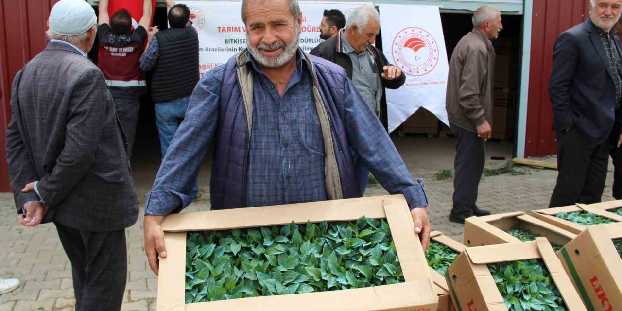 Bingöl’de 330 bin sebze fidesi üreticilere dağıtıldı
