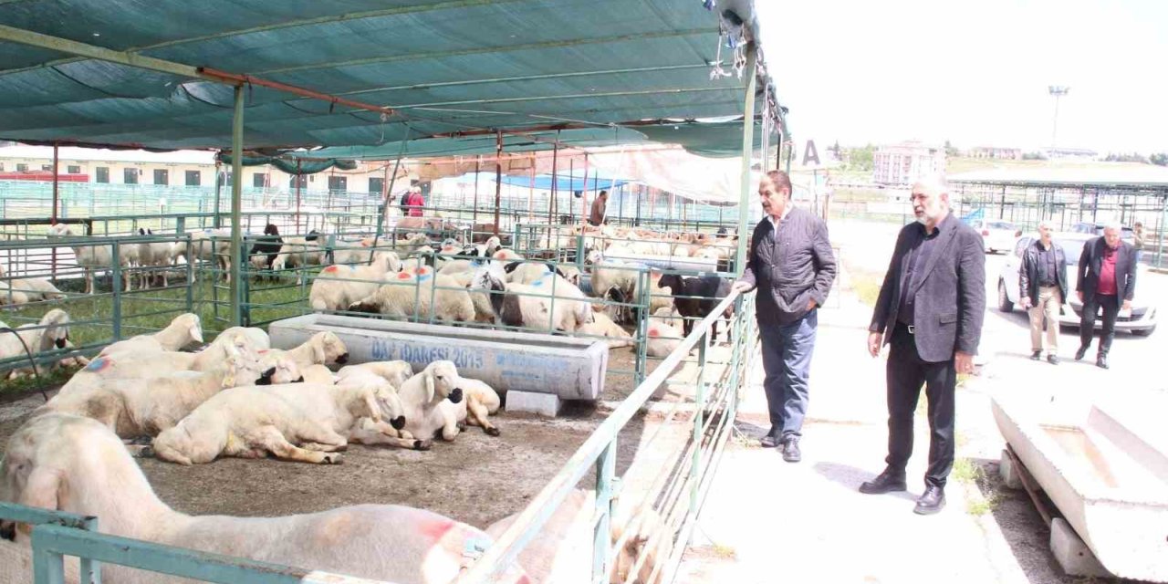 MESOB Başkanı Keskin: "Canlı Hayvan Pazarı yeniden kamu malı olmalı"