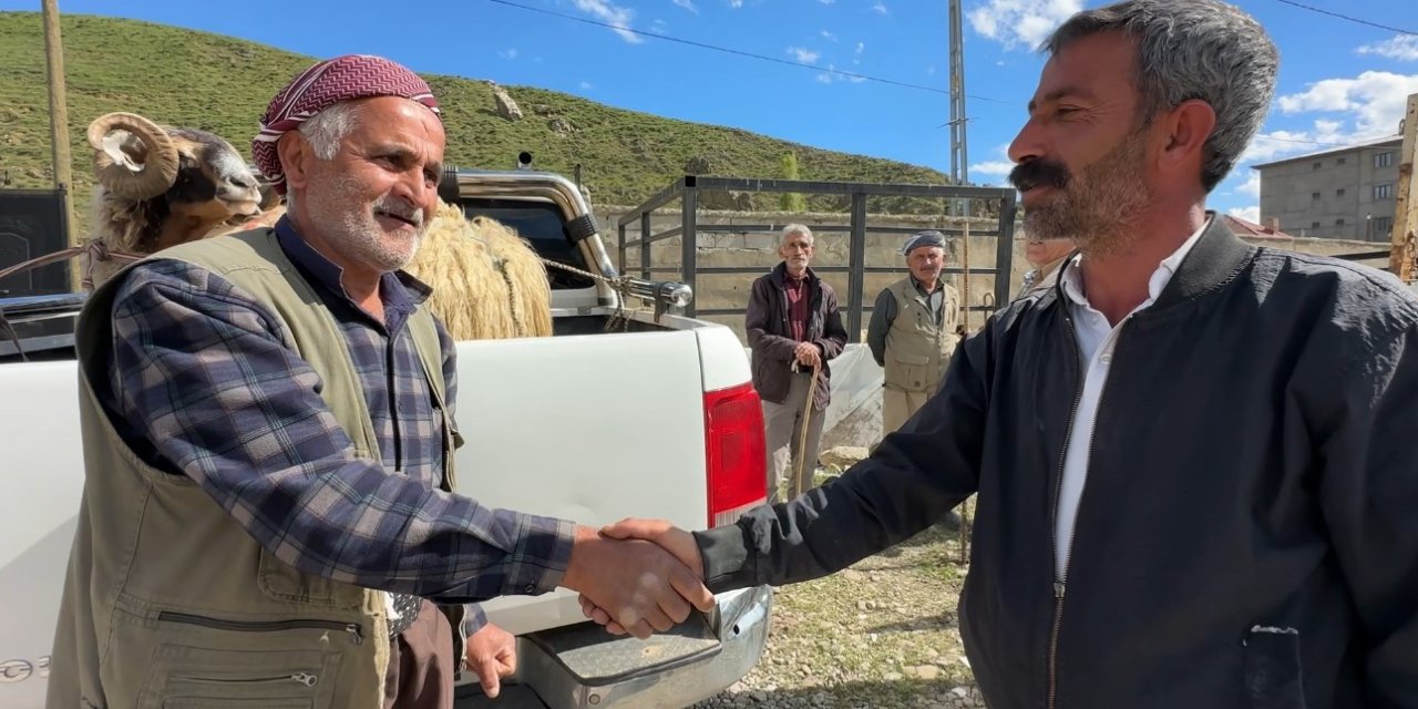 Yüksekova’da hayvan pazarında bayram hareketliliği