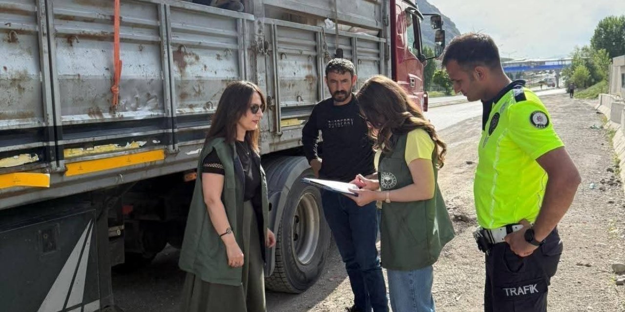 Tercan’da kurbanlık hayvan sevkiyatlarına sıkı denetim