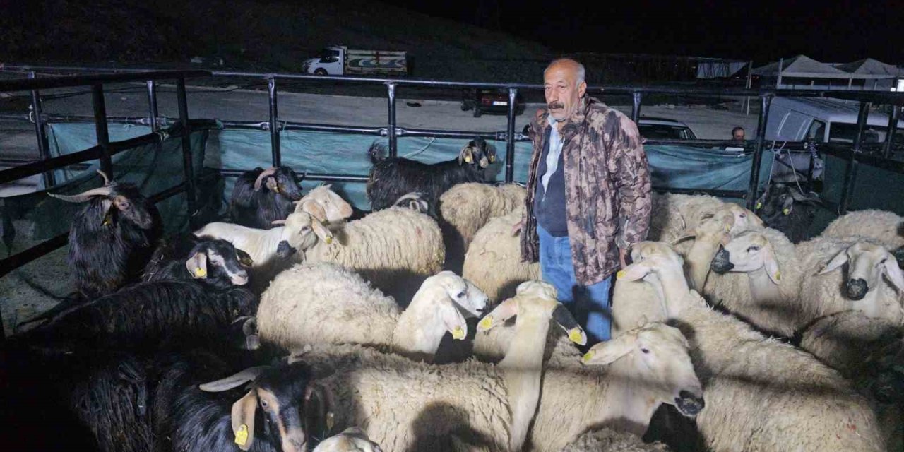 Elazığ’da kurban pazarında uykusuz mesai: Geceyi hayvanlarının başında geçiriyorlar