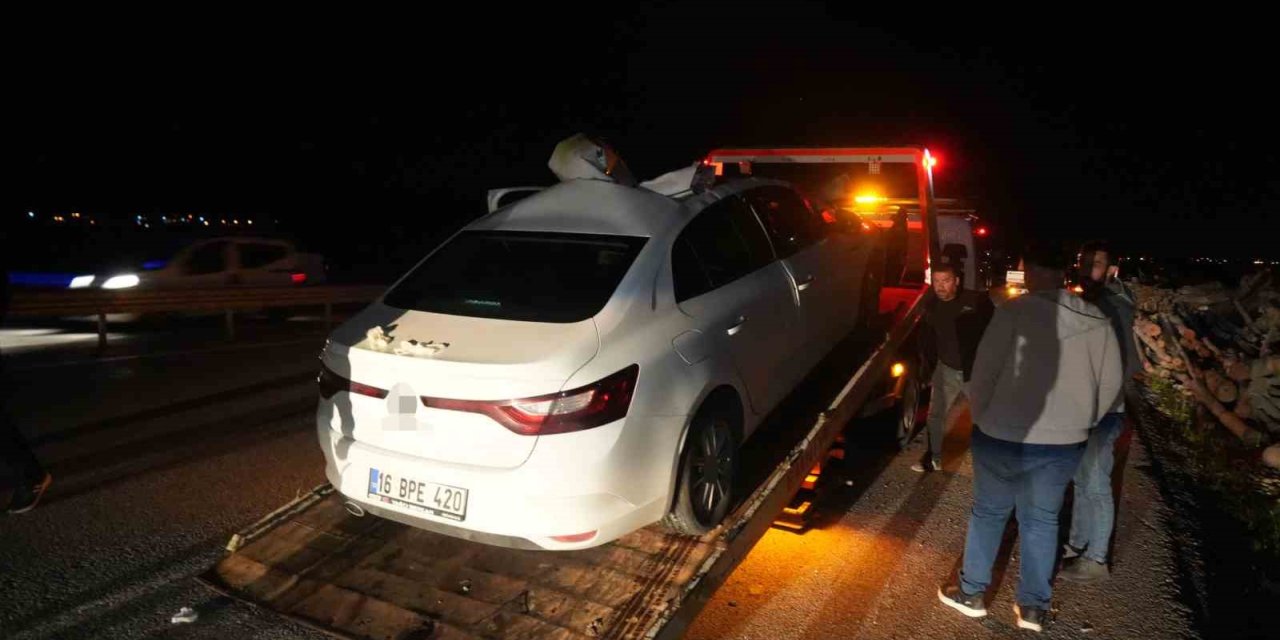 Muş-Bingöl kara yolunda otomobil ata çarptı: 7 yaralı