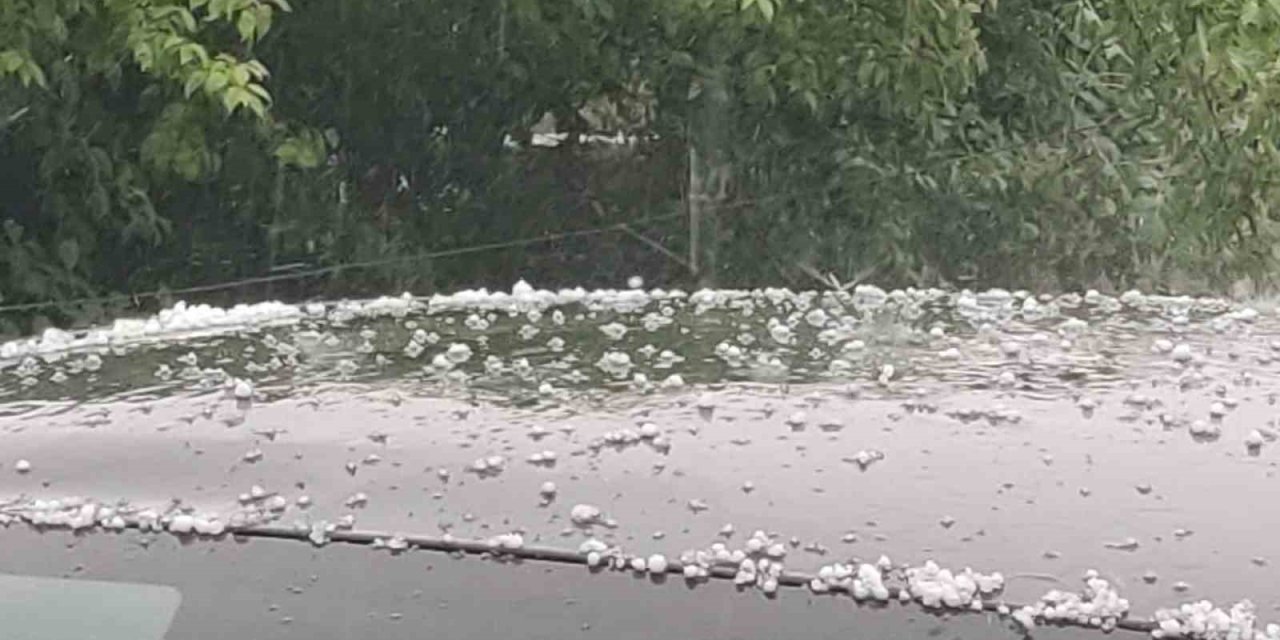 Bingöl’de dolu yağışı etkili oldu