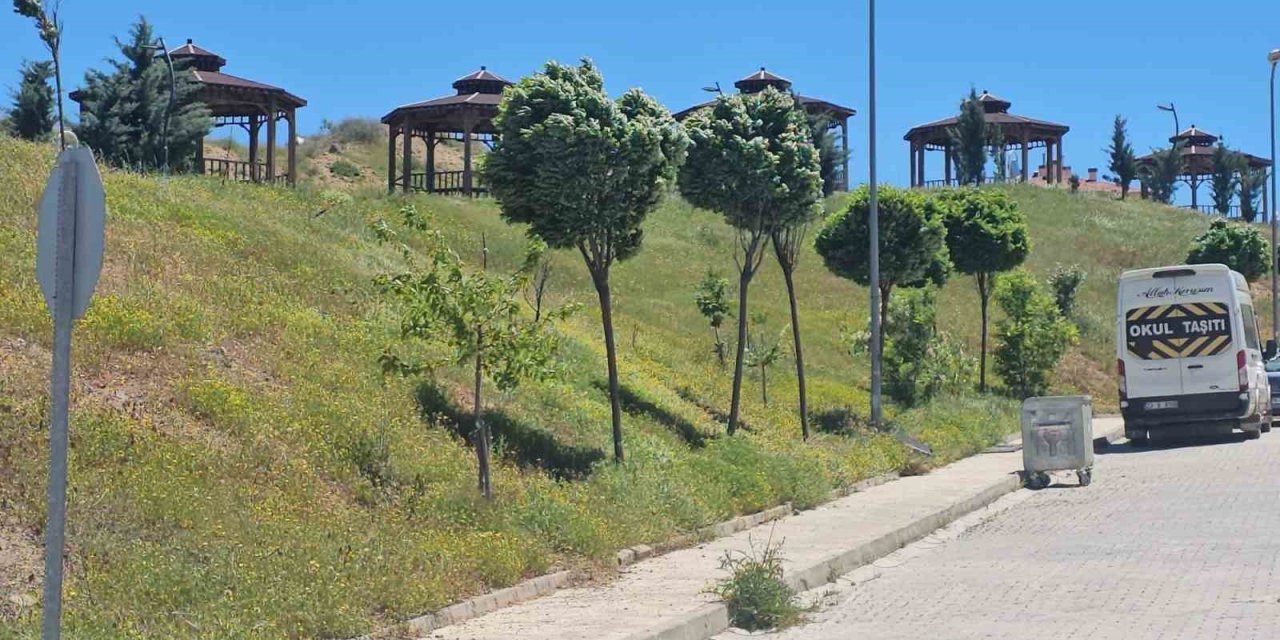 Elazığ’da şiddetli rüzgar etkili oldu