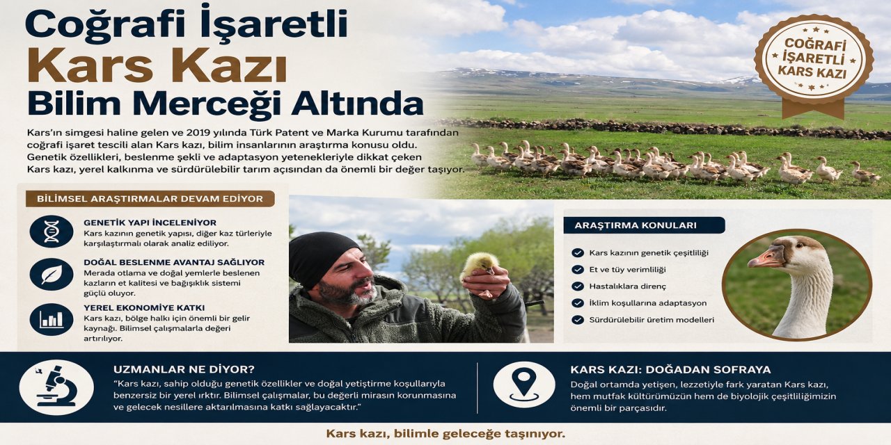 Coğrafi işaretli Kars kazı bilim merceği altında
