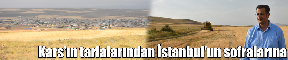 Kars’ın tarlalarından İstanbul’un sofralarına