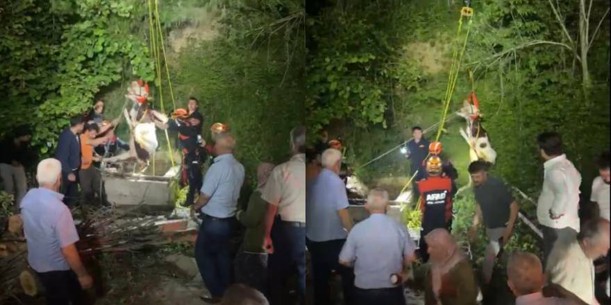 Su kuyusuna düşen inek, saatler süren çalışma sonrasında kurtarıldı