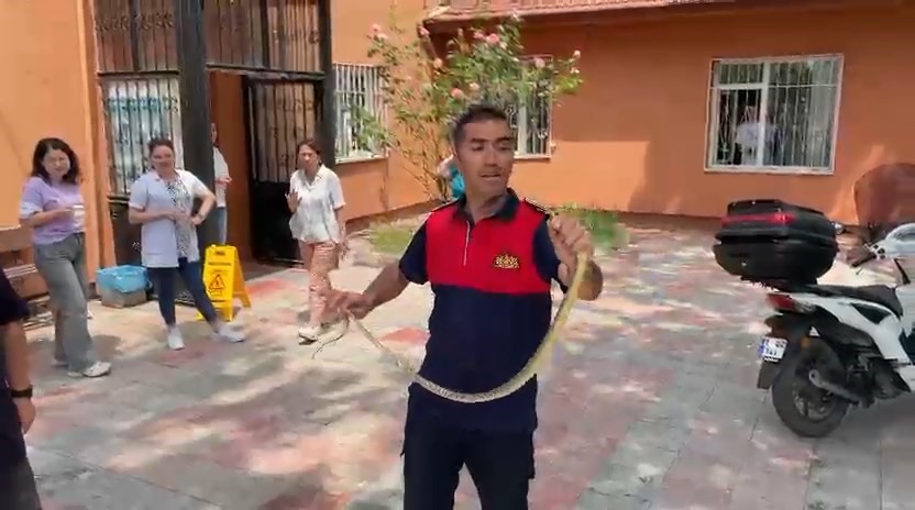 Sağlık ocağında yılan paniği