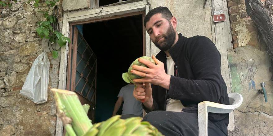 Enginar soyarak ayda 240 bin lira kazanıyor