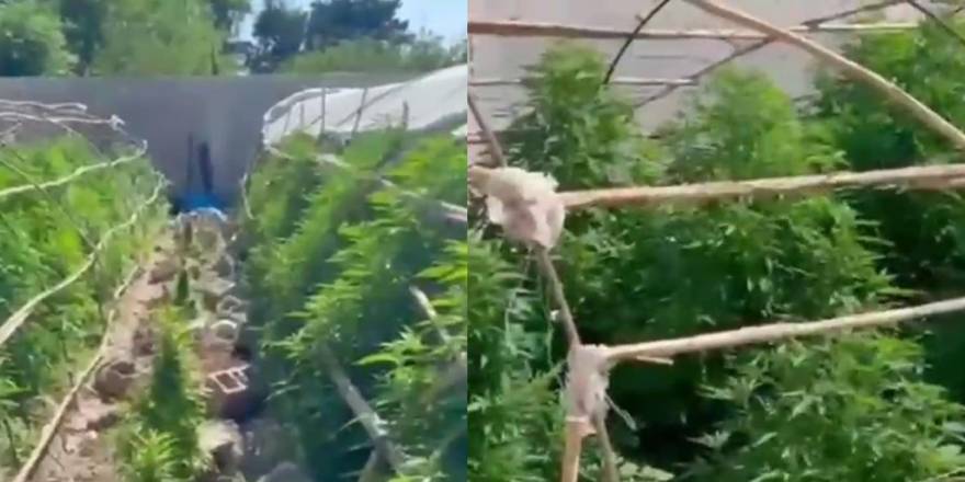 Tarım Görünümlü Zehir Üssüne Baskın