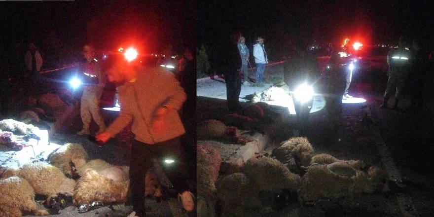 Van’da Feci Kaza: Otomobil Koyun Sürüsüne Daldı