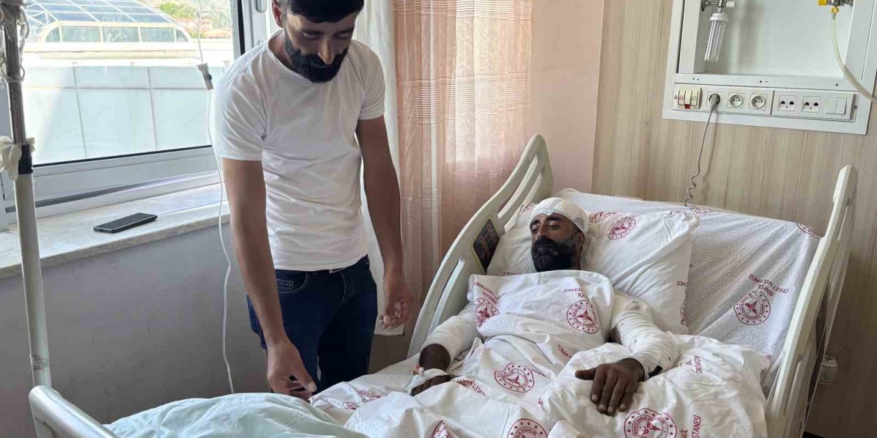 Mantar toplarken ayı saldırısına uğradı, kollarıyla başını siper ederek hayatta kaldı