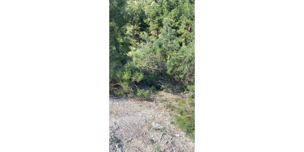 Uçuruma yuvarlanan traktör sürücüsü hayatını kaybetti