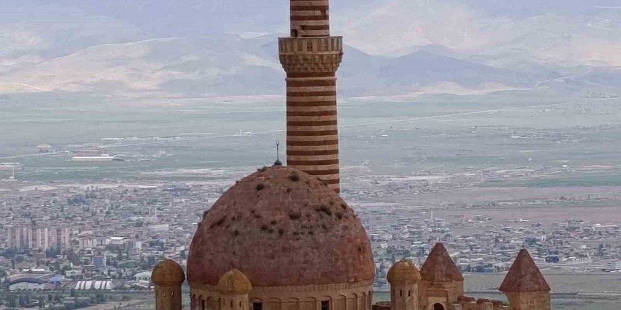 İshakpaşa Sarayı’nın kubbesindeki otlar ziyaretçilerin dikkatini çekti