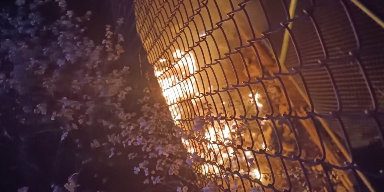 Van’da anız yangını